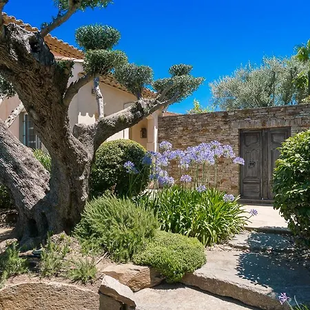 Blue Med Saint-Tropez